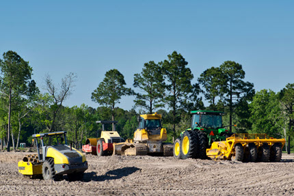 Arborist performing tree trimming service in Louisville