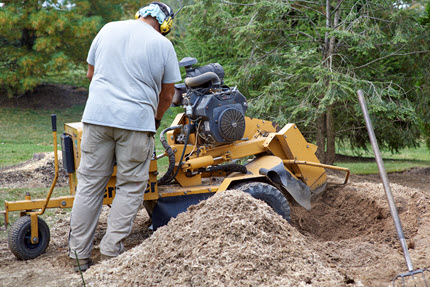 Stump grinder removing a tree stump in Jefferson County, KY