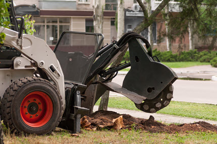 Stump grinder removing a tree stump in Jefferson County, KY